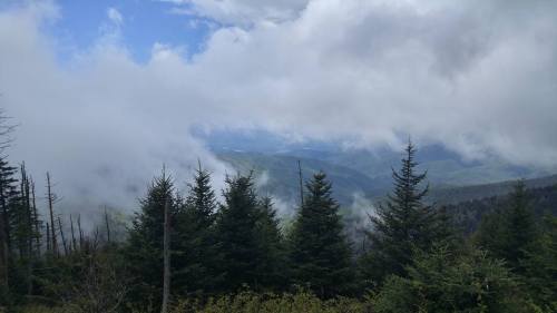 Picture taken from Clingmans Dome in the Great Smoky Mountains National Park. Taken after a hike with buddies in May of 2016.