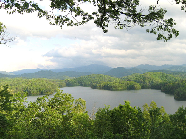 Appalachian temperate rainforest - Wikipedia